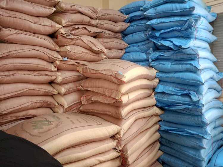 التضامن  تعلن الاستمرار في إطلاق مبادرة "ازرع" في موسمها الرابع