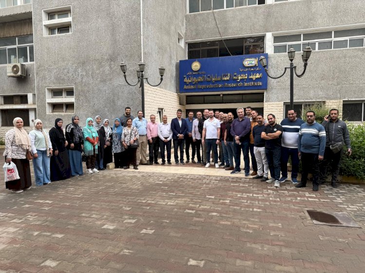 رفع كفاءة الكوادر البيطرية في استخدامات الذكاء الاصطناعي في التناسليات الحيوانية