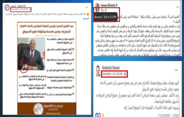 القبض علي رئيس مجلس إدارة  ورئيس تحرير أحد المواقع تنفيذا لقرار النيابة