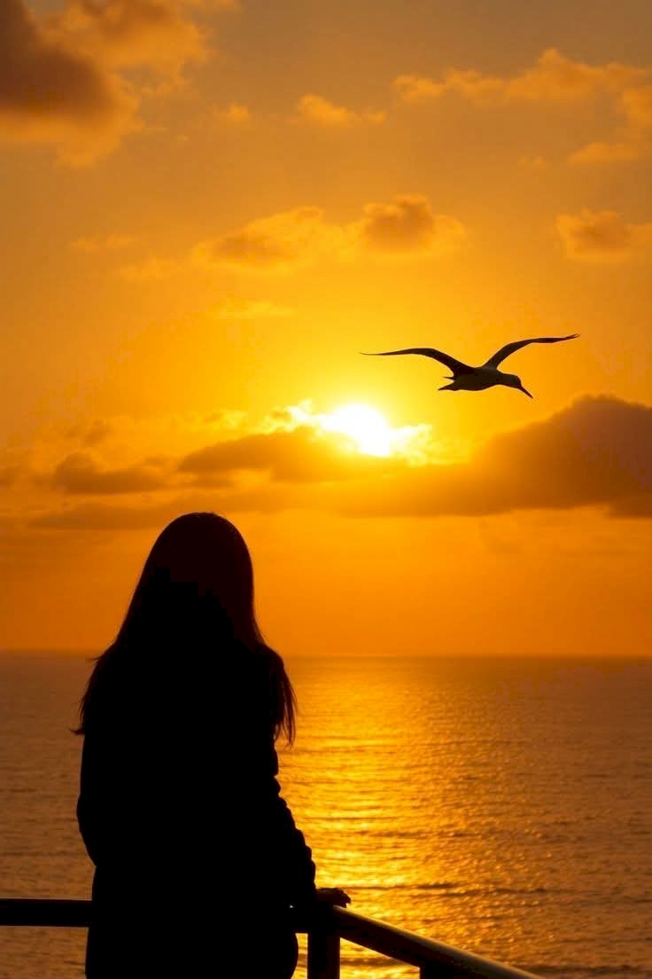 توق... شعر إيمان العطيفي