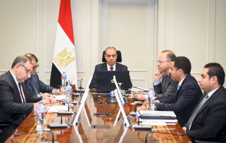 وزير الخارجية يستعرض الرؤية المصرية لتحقيق السلام والتنمية في شرق الكونجو الديمقراطية والصومال