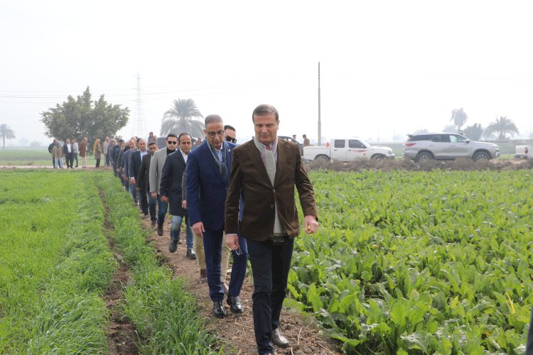 "فاروق والانصاري"يتفقدان زراعات القمح بمركز إطسا