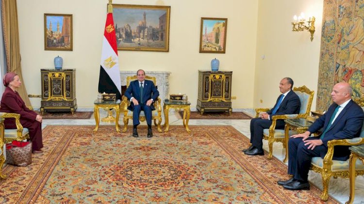 السيسي يستقبل د. ياسمين فؤاد وكيلة الأمين العام للأمم المتحدة لمكافحة التصحر