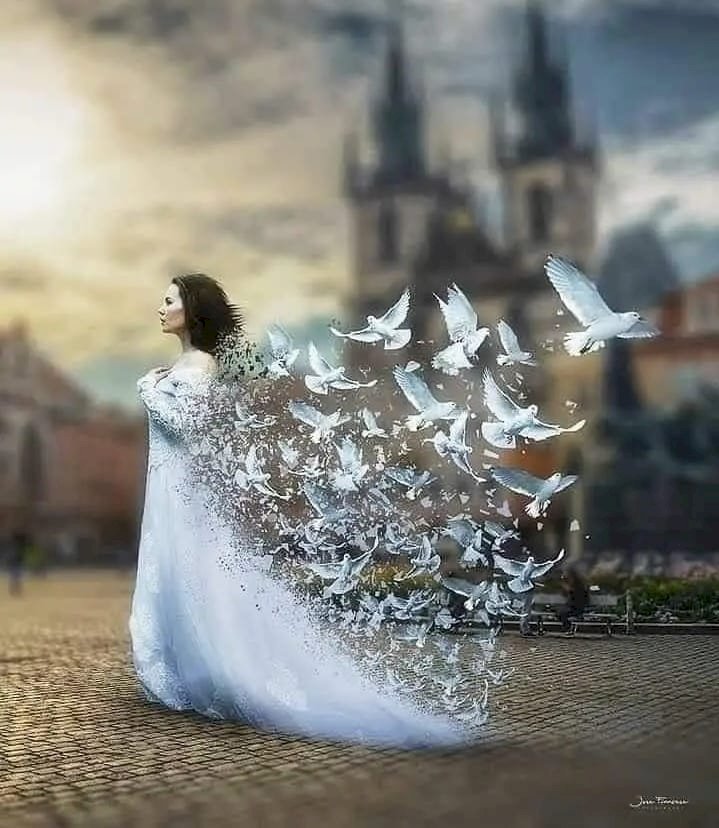 رسائل الصباح (2) ... شعر إيمان العطيفي