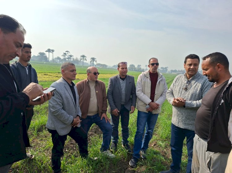 "البحوث الزراعية" يتفقد حقول بني سويف للاطمئنان على المحاصيل