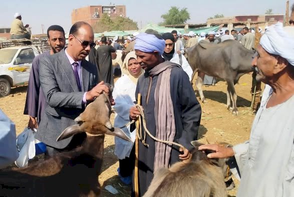 محافظ أسوان يشيد بجهود مديرية الطب البيطرى خلال عام 2025