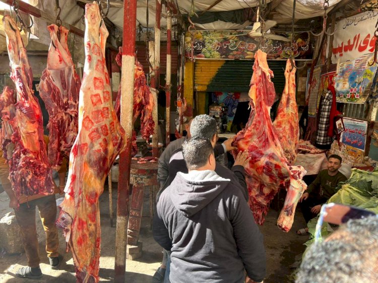 بيطري المنيا يضبط 252 كجم لحوم فاسدة ومذبوحة خارج المجازر