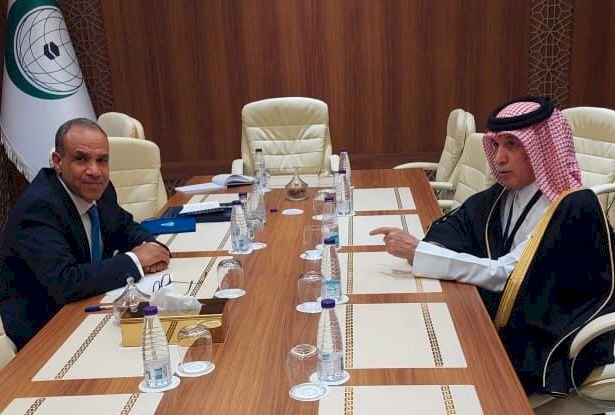 مصر وقطر تبحثان التطورات الإقليمية