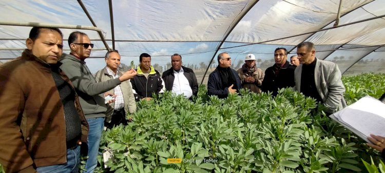 "الزراعة" تتفقد حالة المحاصيل الشتوية في محافظة الغربية