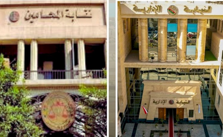 النيابة الإدارية تشرف على المرحلة الأولى لانتخابات نقابات المحامين