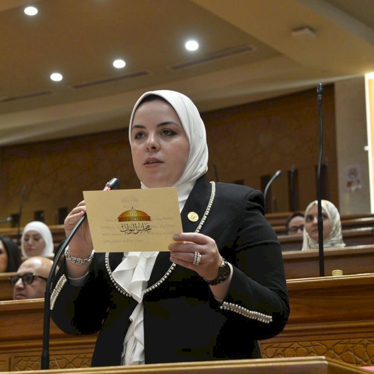 سميرة الجنايني: لجنة الدفاع والأمن القومي أمانة وطنية ومسؤولية دستورية