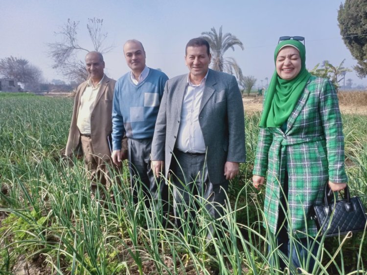 الزراعة تتابع الحالة الصحية للمحاصيل الشتوية ببني سويف