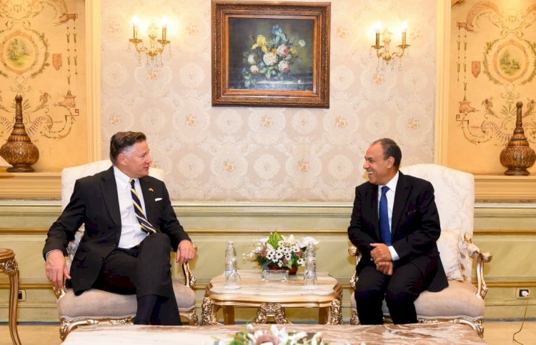 مصر وأمريكا يبحثان الشراكة الاستراتيجية ومستجدات القضايا الإقليمية
