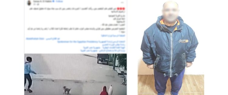 حقيقة فيديو قيام حداد بالتعدى بالضرب على كلب بالإسماعيلية