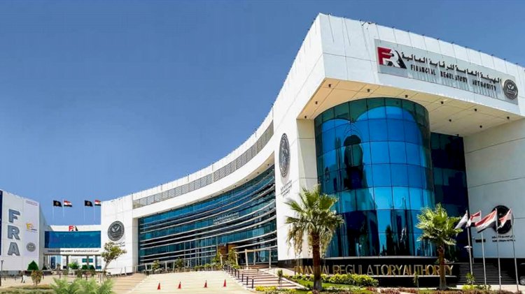 الرقابة المالية تصدر ضوابط شاملة لتنظيم نشاط التأمين متناهي الصغر