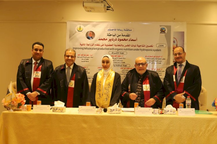 رسالة ماجستير  تناقش تحسين إنتاجية الخس بالتغذية العضوية في الزراعة المائية