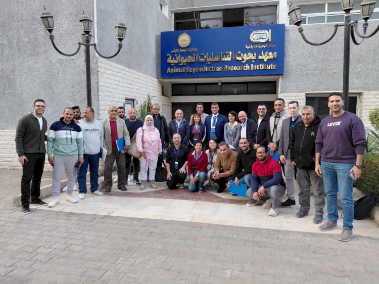 "الزراعة" تستضيف ورشة لتطوير انتاج الألبان بمعهد بحوث التناسليات الحيوانية