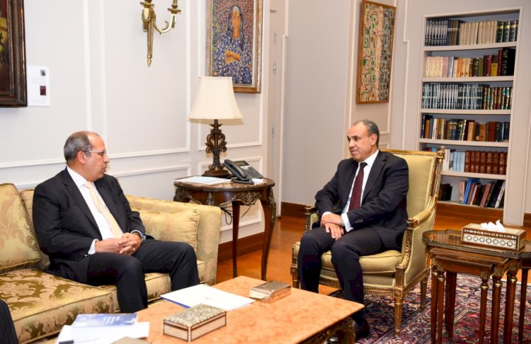 وزير الخارجية يستقبل رئيس الجامعة البريطانية في مصر