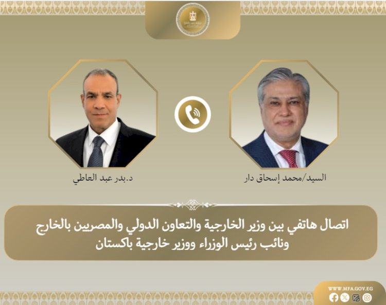 وزيرا خارجية مصر وباكستان يبحثان القضية الفلسطينية