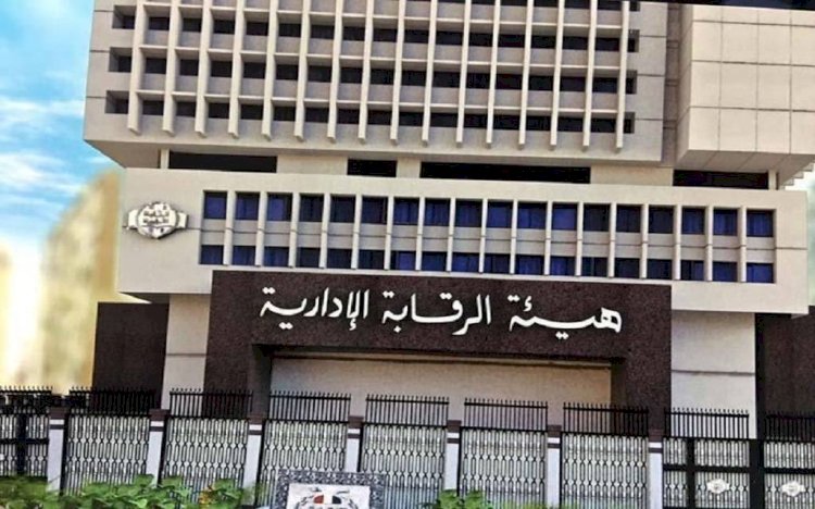 الرقابة الإدارية: ضبط تشكيل عابر للحدود سعى للاستيلاء على أموال شركة مصرية