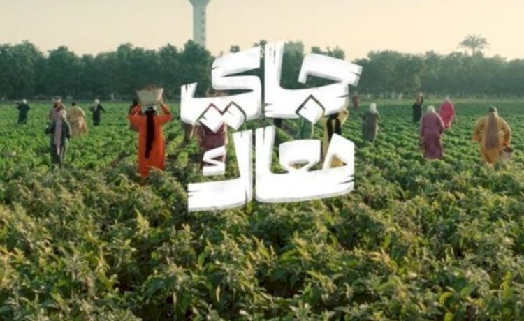 إعلان البنك الأهلي المصري .. رسالة تنموية مجتمعية قبل أن يكون ترويج لمنتجات مصرفية