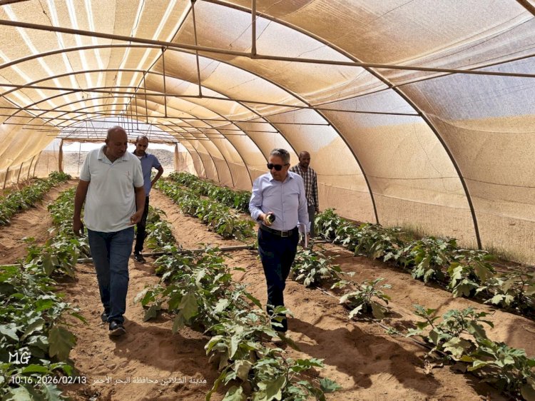 "بحوث الصحراء" يواصل جهود تعزيز التنمية الزراعية بمثلث حلايب والشلاتين