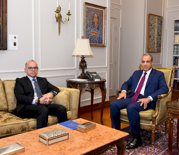 وزيرا الخارجية والاستثمار يبحثان تعزيز التنسيق المشترك لجذب الاستثمارات
