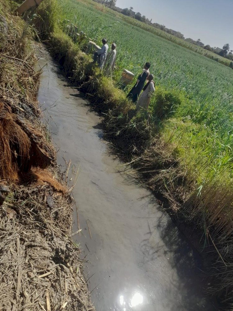 "الزراعة" تكثف أعمال تطهير المساقي بمحافظة الأقصر تزامناً مع موسم كسر القصب