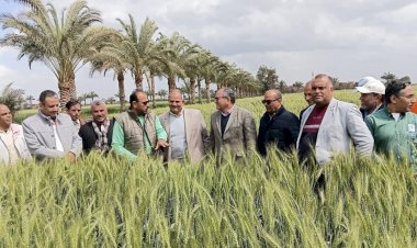 منبر