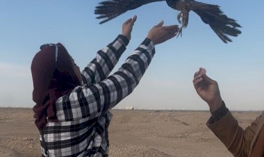 منبر