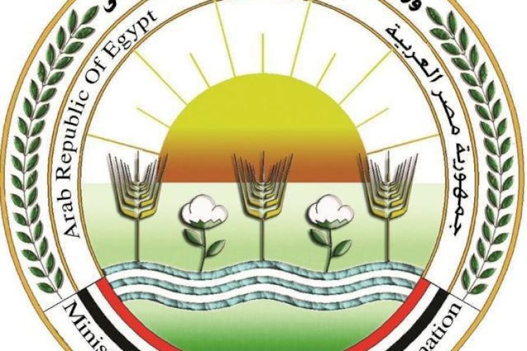 منبر