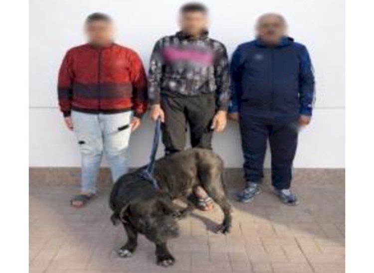 القبض علي المتهمين بضرب وترويع اسرة بكلب بالإسكندرية