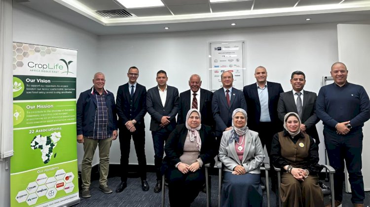 تنمية المشروعات والتحالف الوطني يكرمان رواد الأعمال اصحاب المشروعات الناشئة