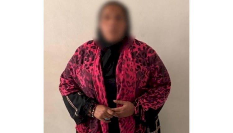 القبض علي المتهمة بسب ربة منزل اثناء استقلالها ميكروباص بالدقهلية