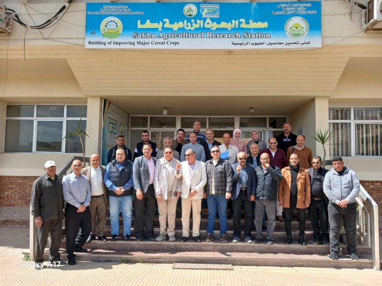 رئيس "البحوث الزراعية" يتفقد محطة بحوث سخا لمتابعة الأنشطة البحثية
