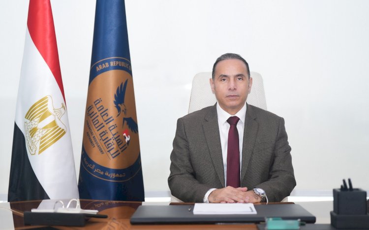 الرقابة المالية: قائمة بالشركات المخالفة للتشريعات المنظمة للأنشطة المالية غير المصرفية 