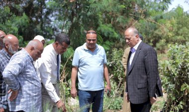 منبر