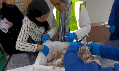 منبر