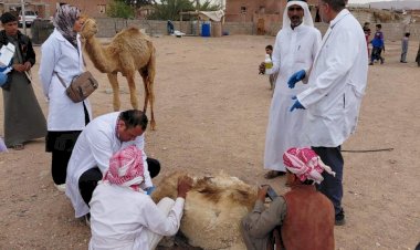 منبر