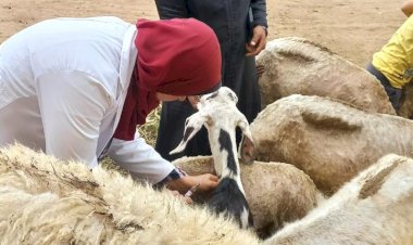 منبر