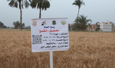 منبر