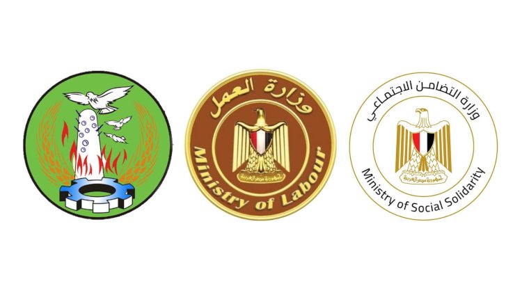 "مايا ورداد والغريب"يوجهون بصرف 600 ألف جنيه لأسرة كل ضحية في حادث المنوفية