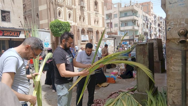 بسعف النخيل قنا تستعد  لـ أحد الشعانين وعيد القيامة المجيد