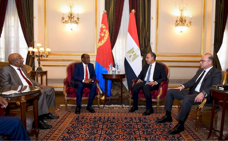 وزيرا الخارجية والاستثمار يستقبلان المستشار الاقتصادي للرئيس الإريتري ووزير التجارة والصناعة