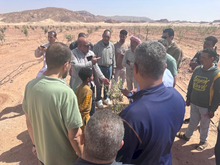 وزير الزراعة يستجيب لمتضرري سيول "وادي سعال" بسانت كاترين