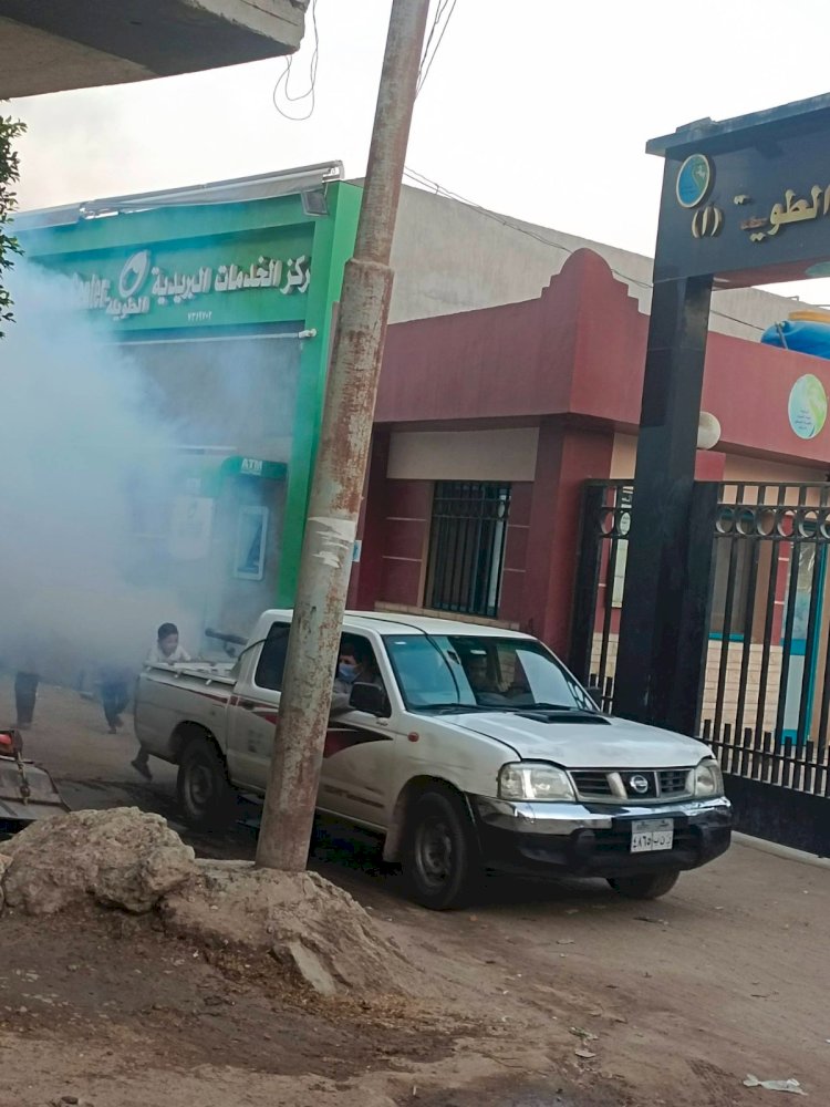 الوحدة المحلية بالهيصيمية فاقوس شرقية تكثف حملات مكافحة الحشرات