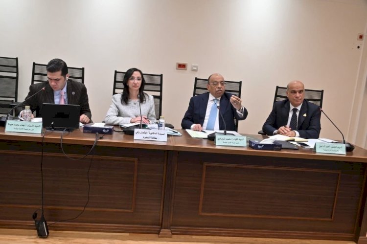 محافظ البحيرة تستعرض خطة تطوير الخدمات أمام محلية النواب