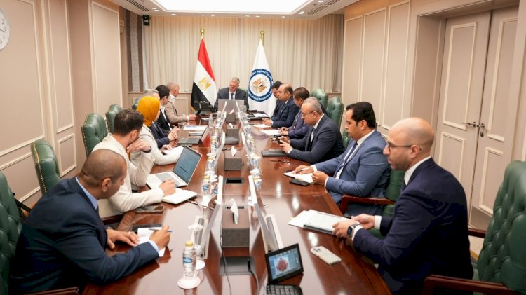 وزير البترول يبحث مع "السويدي إلكتريك" تسريع تنفيذ مجمع الصناعات الفوسفاتية بالسخنة