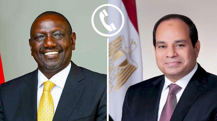 السيسي ورئيس كينيا يبحثان العلاقات الثنائية