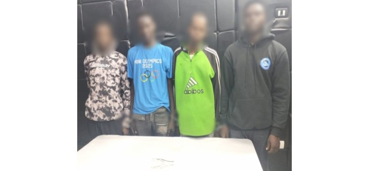 نكشف فيديو تعاطي اجانب المخدرات بالقاهرة